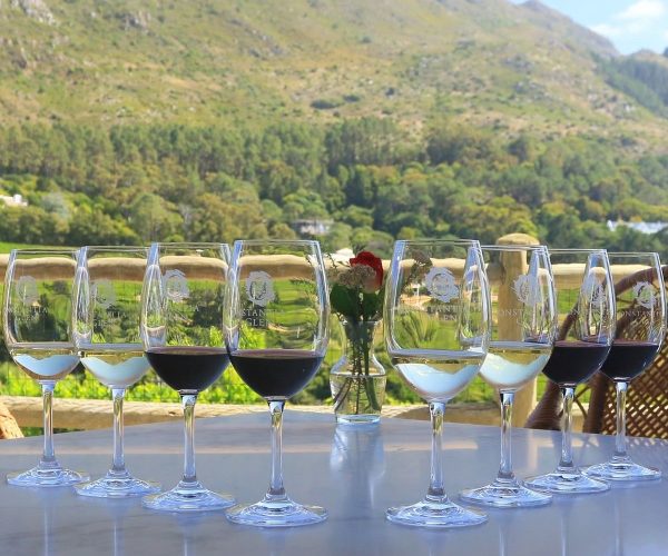Constantia-Glen-Wine-Testing